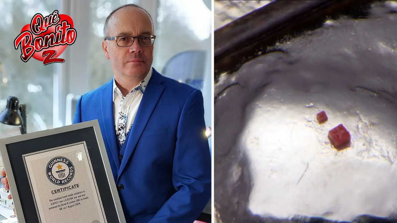 Récord mundial: David A. Lindon rompe límites con la escultura más ...