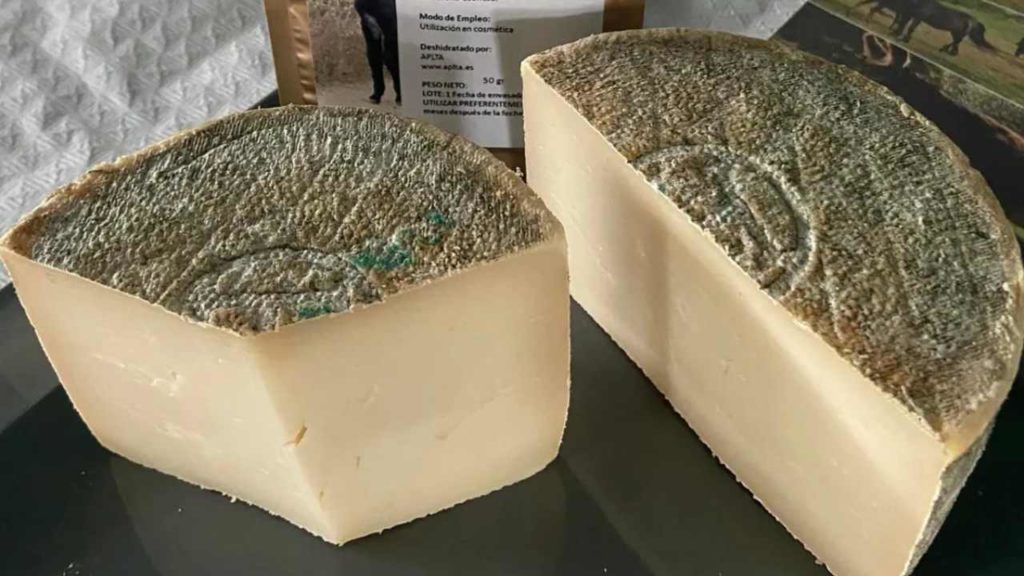 Queso Pule: El exclusivo manjar hecho con leche de burra que cuesta $1,000 dólares el medio kilo