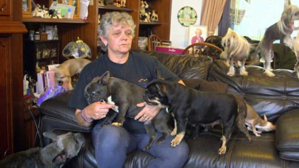 ¡Pareja vive con 41 perros y confiesa que su relación está “al borde del colapso”!